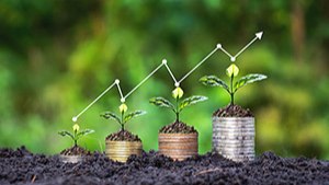 Aprovecha el green marketing