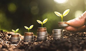 Cuida la ecología y ahorra dinero