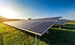 Negocios ecológicos, lo nuevo en el mercado
