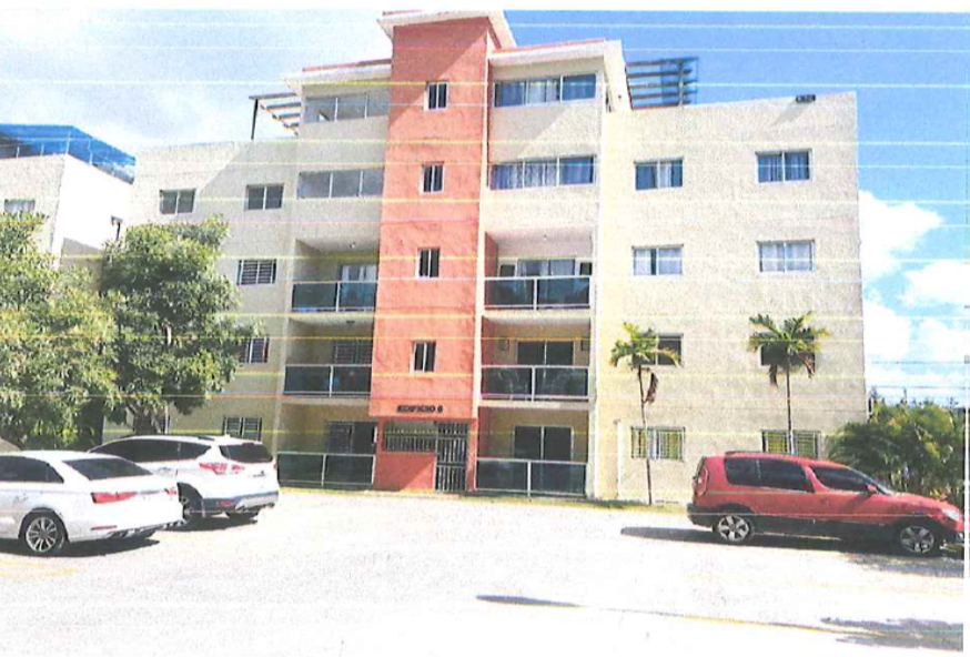 Palmera de la Caleta II La Romana