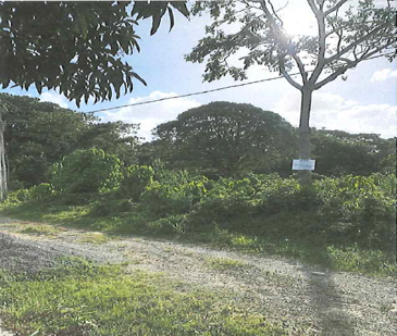 Solar Santo Domingo Norte